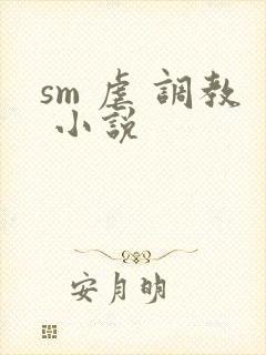 sm 虐 调教 小说