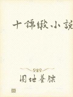 十锦缎小说