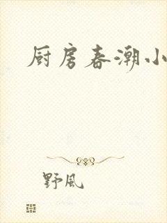 厨房春潮小说封面