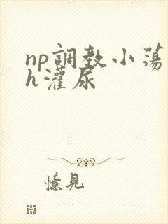 np调教小荡货h灌尿