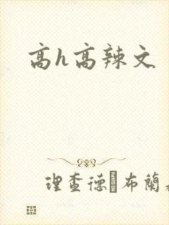 高h高辣文封面