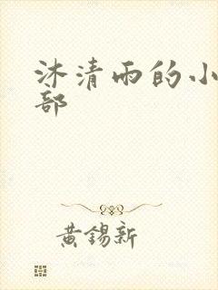 沐清雨的小说全部
