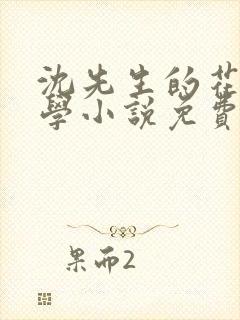 沈先生的花式教学小说免费