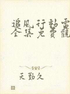 追风行动电视剧全集免费观看