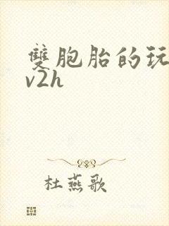 双胞胎的玩具1v2h封面