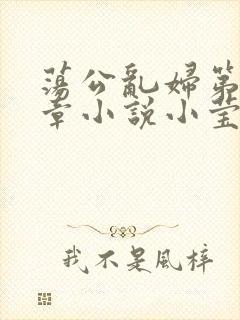 荡公乱妇第51章小说小莹