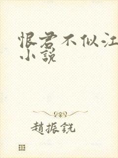 恨君不似江楼月小说