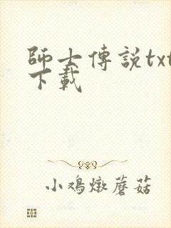师士传说txt下载封面