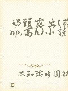 奶头露出(强jnp,高h)小说