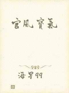 官风宝气封面