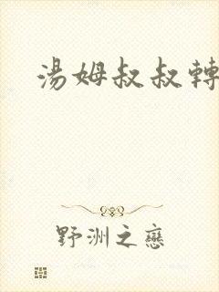 汤姆叔叔转接口