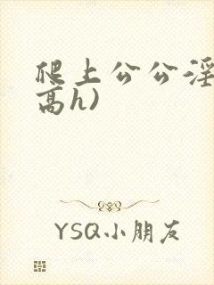 爬上公公淫床(高h)