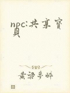 npc:共享宝贝