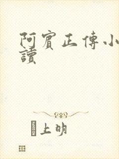 阿宾正传小说在读