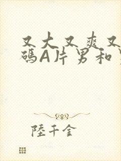 又大又爽又黄无码A片男和男