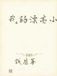 我的漂亮小后妈