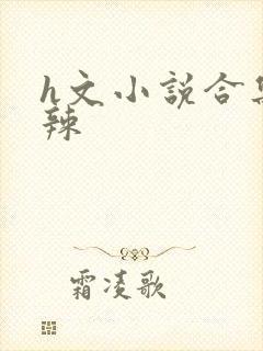 h文小说合集高辣