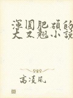 浑圆肥硕的臀又大又翘小说