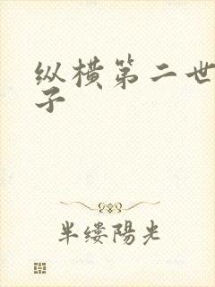 纵横第二世界宽子