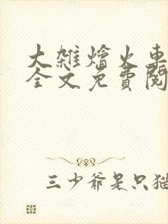 大杂烩火车小说全文免费阅读