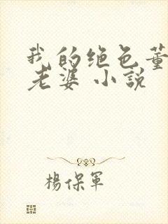 我的绝色董事长老婆 小说