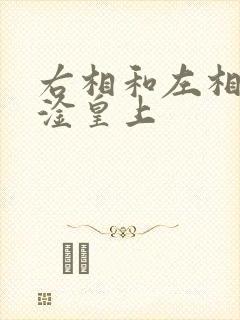 右相和左相一起淦皇上