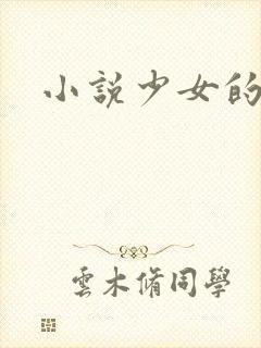 小说少女的心