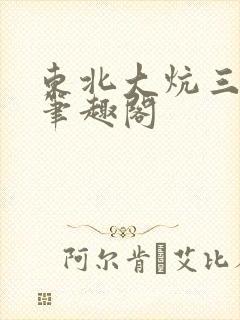 东北大炕三部曲笔趣阁