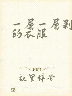 一层一层剥开我的衣服