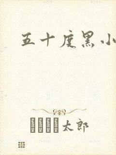 五十度黑小说封面