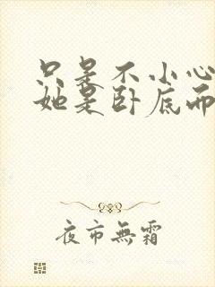 只是不小心发现她是卧底而已封面