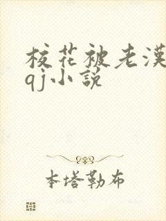 校花被老汉狂肉qj小说封面