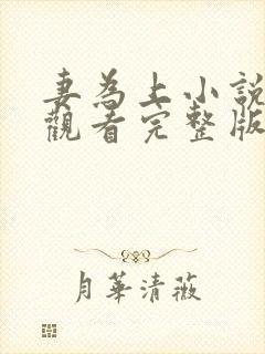 妻为上小说免费观看完整版笔趣阁