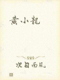黄小龙封面