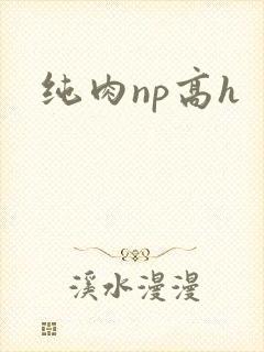 纯肉np高h