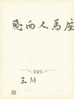 飞向人马座