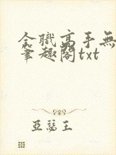 全职高手无弹窗笔趣阁txt