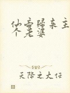 仙帝归来主角几个老婆封面