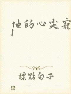 他的心尖宠1v1