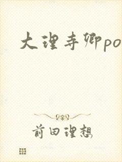 大理寺卿po封面