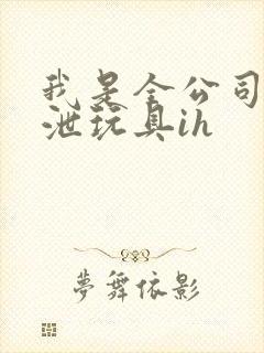 我是全公司的发泄玩具ih