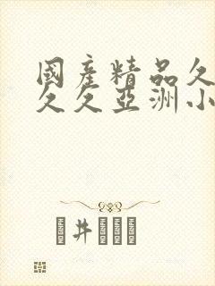 国产精品久久久久久亚洲小说