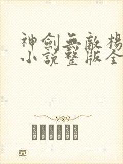 神剑无敌杨小天小说整版全文下载封面