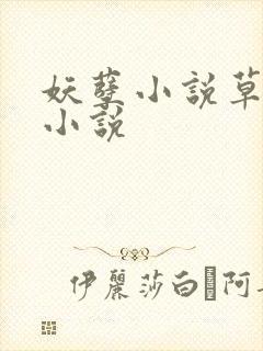 妖孽小说草莓酱小说