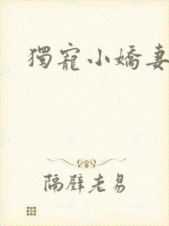独宠小娇妻封面