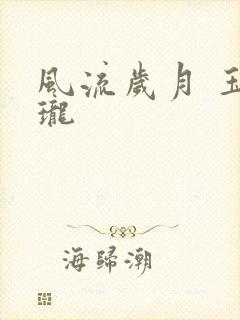 风流岁月 玉玲珑封面