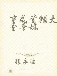 穿成首辅大人的童养媳封面