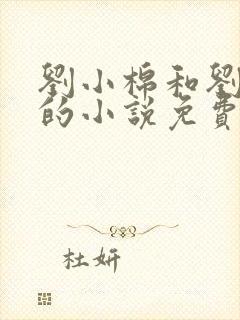 刘小棉和刘易文的小说免费阅读