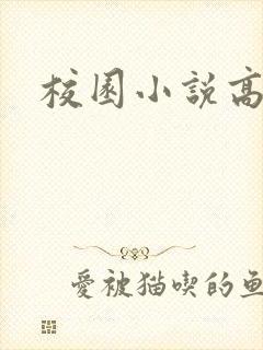 校园小说高h