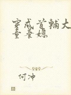 穿成首辅大人的童养媳封面